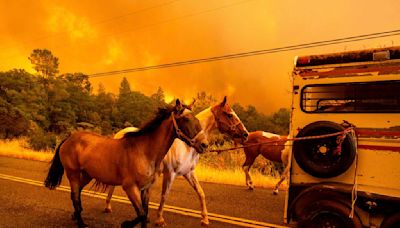 Flurry of evacuations after Northern California wildfire explodes in size