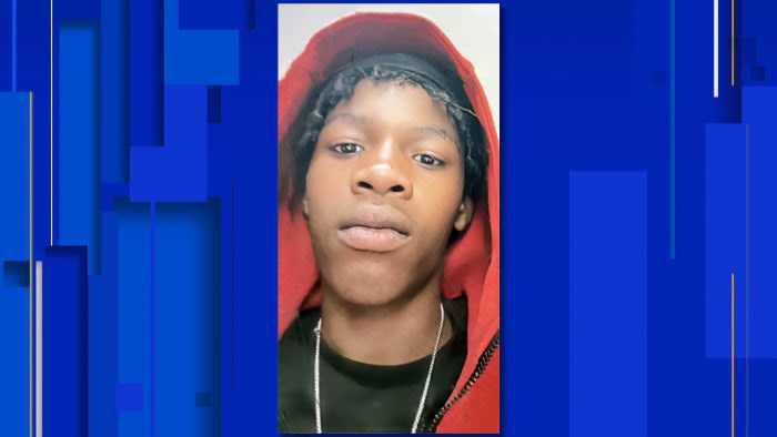 Harper Woods police seek missing 15-year-old boy last seen in Detroit