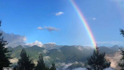 「雲音繚繞」雲霧森林療癒之旅 走進音場純淨觀霧森林感受五感回饋行 | 蕃新聞