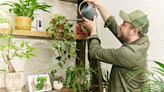 Amazon’s Alexa can help you care for your houseplants – yes, really