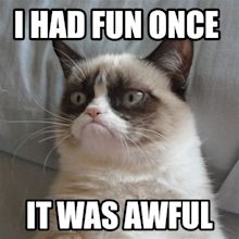 Grumpy Cat I Had Fun Once | Funny Collection World