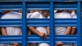 At least 241 people have died in El Salvador's prisons during the 'war on gangs,' rights group says