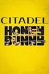 Citadel: Honey Bunny