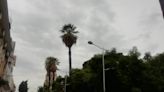 Cochabamba registrará 30 grados y hay probabilidad de lluvias dispersas