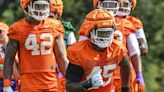 Clemson defensive tackle ‘out a while’ after knee injury, report says