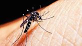 Increase in dengue cases still a concern