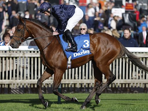 Epsom Derby 2024 runners and riders: Full horse and jockey list