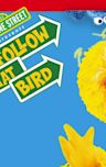 Sesame Street Presents: Follow That Bird