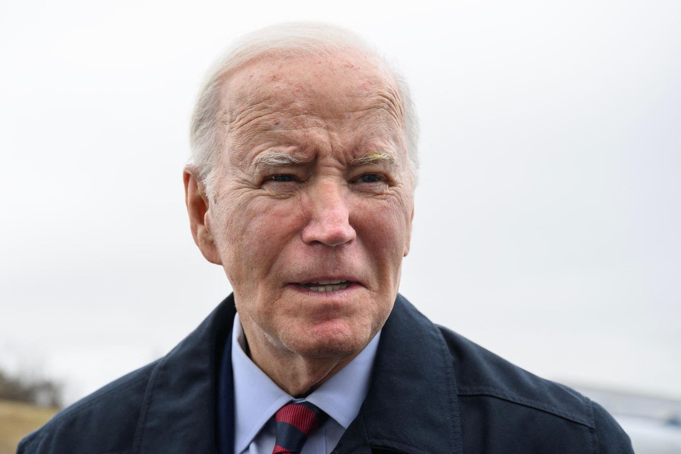 Biden-Trump Gaffe Tracker: Biden Repeats Disputed Claim He Was Arrested During Civil Rights-Era Protests