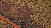 ‘Fairy circles’ stumped scientists, study says. Locals knew the explanation all along