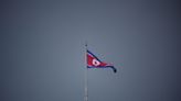 Up to 600 North Korean defectors deported by China 'vanish' - rights group