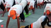 J-K: Indian pariah dog, trained by NDRF, performs yoga in Udhampur on International Yoga Day