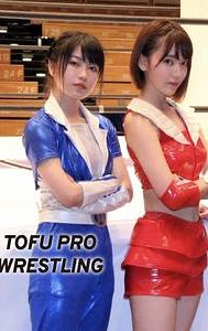 Tofu Pro Wrestling