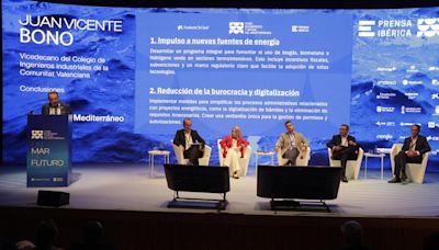 Consejo de la nueva energía para la industria del I Foro del Mediterráneo