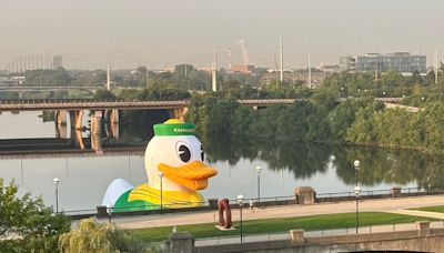 Oregon arrives in Big Ten country, sends giant, inflatable duck down river