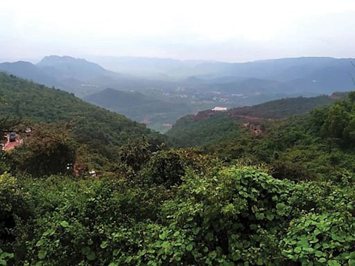 Proposed mining at Devadari Forest Area: State Government halts handing over forest lands to KIOCL - Star of Mysore