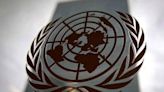 Consejo de Seguridad revisa escenario en Yemen ante crisis regional - Noticias Prensa Latina