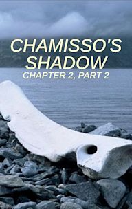 Chamissos Schatten Kapitel 2: Teil 2: Tschukotka und die Wrangelinsel