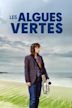 Les algues vertes