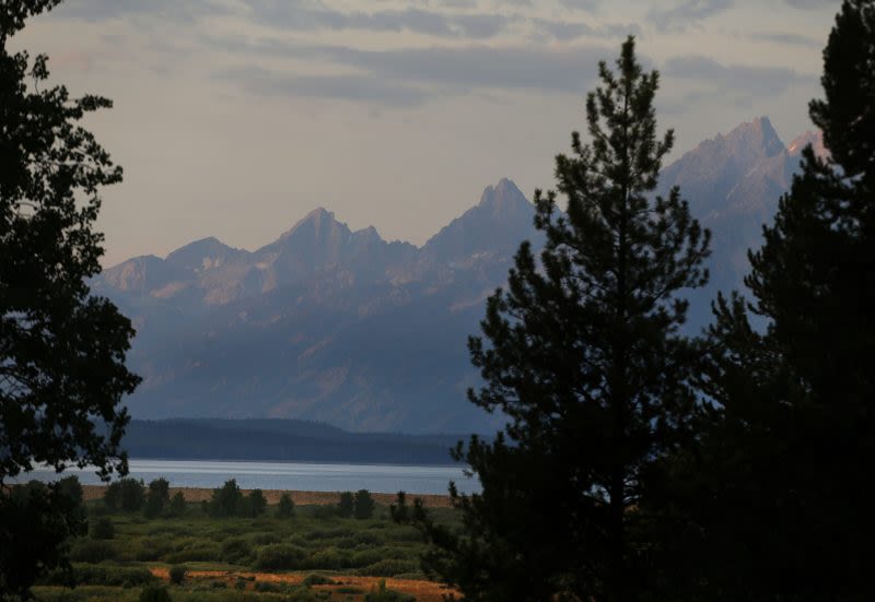 Attacking grizzly scared off by self-inflicted hit of pepper spray in Grand Teton National Park