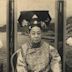 Imperial Noble Consort Wenjing