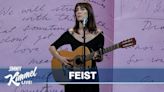 Feist Plays A Lovely Solo-Acoustic "Love Who We Are Meant To" On 'Kimmel': Watch