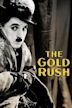 The Gold Rush