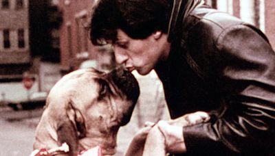 Stallone tuvo que malvender a su perro antes de triunfar con ‘Rocky’, aunque hay final feliz