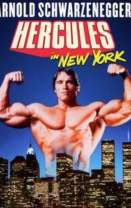 Hercules in New York