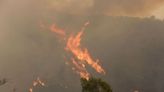 Japón. Se registraron incendios forestales en el norte del país