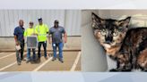 Muscatine crew rescues kitten from storm drain