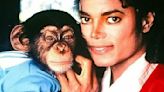 ¿Qué fue de Bubbles, el chimpancé de Michael Jackson?