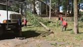 Some metro Atlanta homeowners elect to remove trees before Hurricane Ian