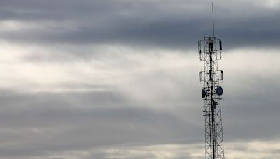 BT forces regulator into review of annual mobile network fees