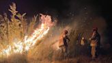 Incêndio no Parque Nacional do Itatiaia é contido pelo Corpo de Bombeiros; agentes monitoram aparecimento de novas chamas