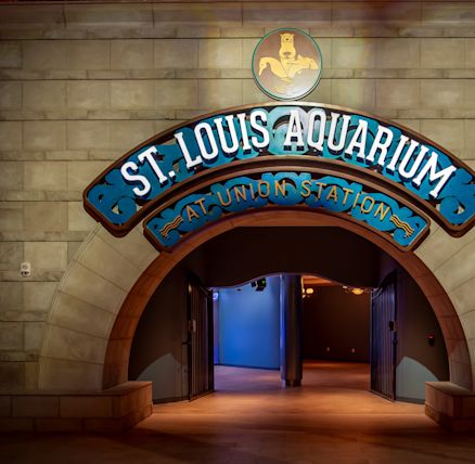 st-louis-aquarium-at-union-station-st-louis- - Yahoo Local Search Results