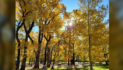 Climbing back into above-seasonal temperatures for the long weekend