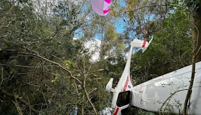Una avioneta cayó en Uruguay y sus dos tripulantes se salvaron gracias al sistema de paracaídas de la aeronave