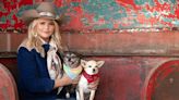 Miranda Lambert Is 'Beyond Grateful' for the Chance to Help Rescue Animals with New Relief Fund