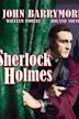 Sherlock Holmes