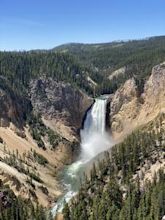 parc national de Yellowstone