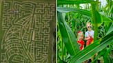 Maze challenge takes on nautical theme