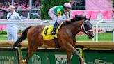 Idiomatic Returns With Classy La Troienne Victory