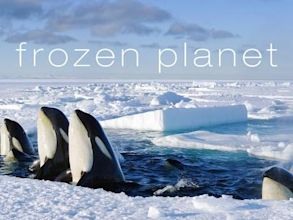 Frozen Planet