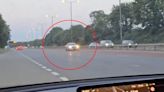 'Idiot' Audi driver speeds wrong way down a motorway