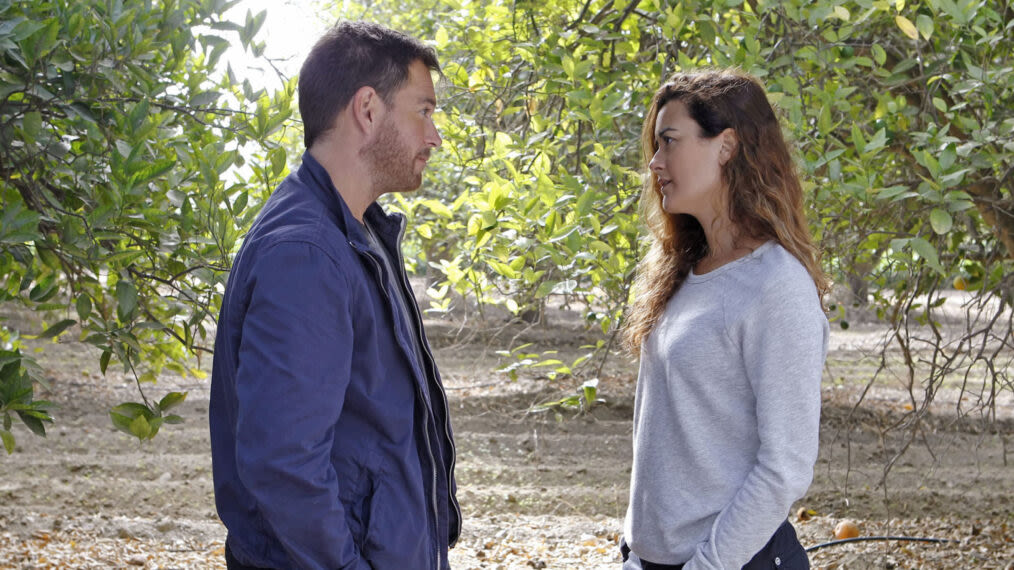 Everything We Know So Far About 'NCIS: Tony & Ziva'