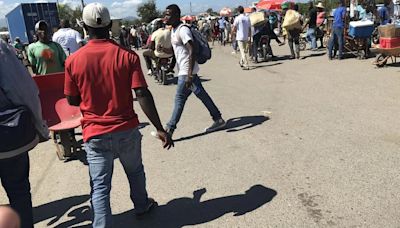 República Dominicana eleva la alerta por un brote de ántrax en Haití