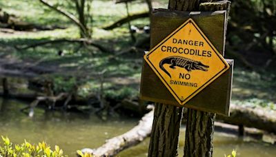 Police search for child after suspected crocodile attack in Australia's Northern Territory