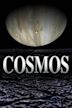 Cosmos