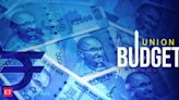 Budget 2024: Setting the pace for prudent acceleration of economic growth - The Economic Times